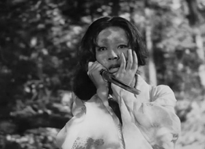 Rashomon 1